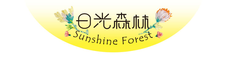 日光森林_Sunshine Forest