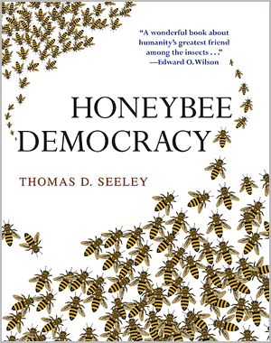 蜜蜂社會結構